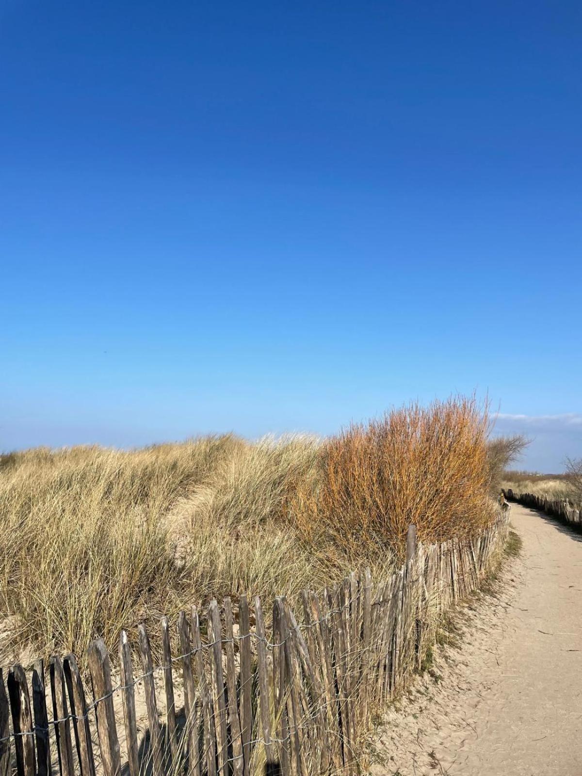 Belle Appartement Blankenberge